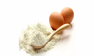 EGG WHOLE POWDER