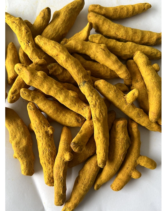 Turmeric Fingers-3