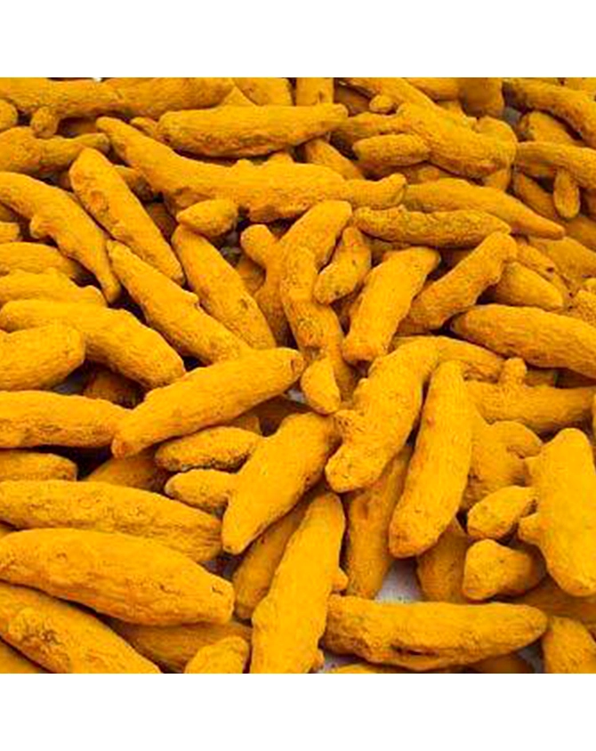 Turmeric Fingers-1