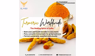 Turmeric Powder for Export