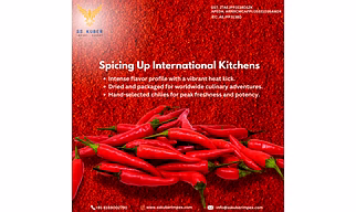 Red Chili Powder for Export
