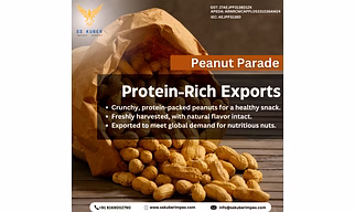 Groundnut/Peanut for Export