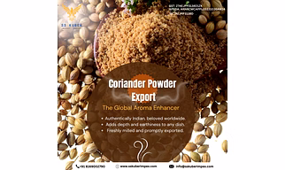 Coriander Powder for Export