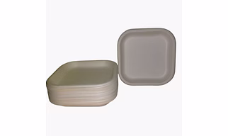 Bagasse Tableware