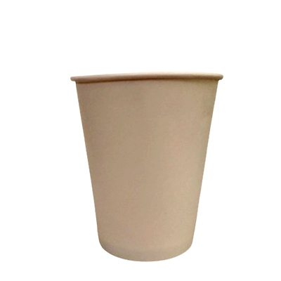 Bagasse Tableware-4
