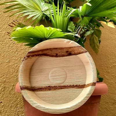 Areca Nut Plates &amp; Bowls-6