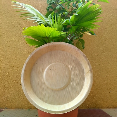 Areca Nut Plates &amp; Bowls-5
