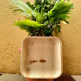 ecopulse areca nut plates & bowls