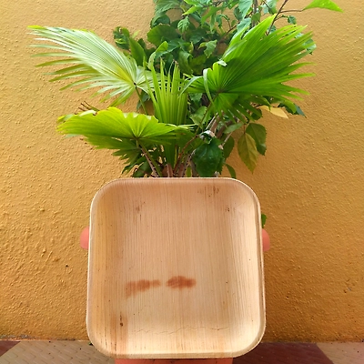 Areca Nut Plates &amp; Bowls-1