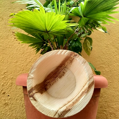 Areca Nut Plates &amp; Bowls-2