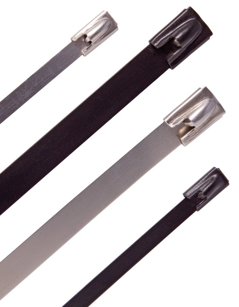 Stainless Steel Cable Ties and Accessories-1-1