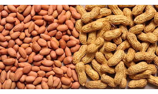 Ground Nuts
