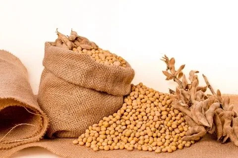 Soybeans &amp;  Pulses-Acs1012