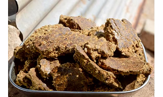 Cotton seed oil cake