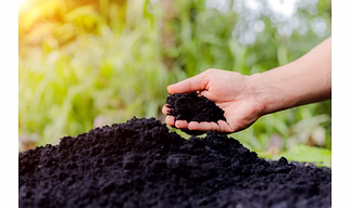 Vermicompost Fertiliser