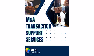 M&A Transaction Support Services