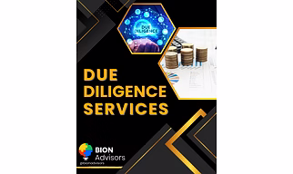 Due Diligence Services