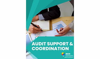 Audit Support And Coordination