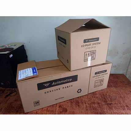 Double Pedal Van-3