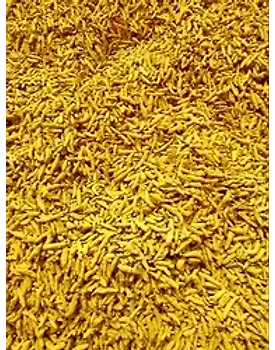 Farm Royale Turmeric/Haldi whole -25kg