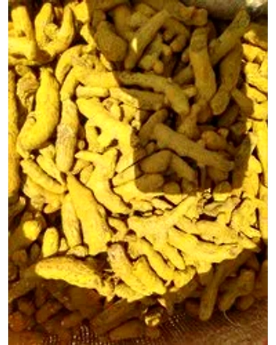 Farm Royale Turmeric/Haldi whole-50kg-1