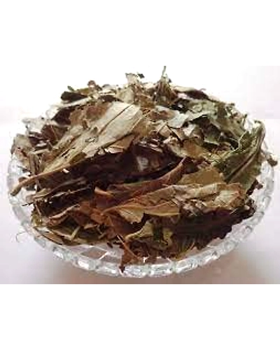 Parijat /Harshringar dried leaves -25kg-12390540