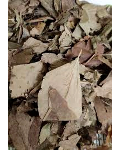 Parijat /Harshringar dried leaves -25kg-1