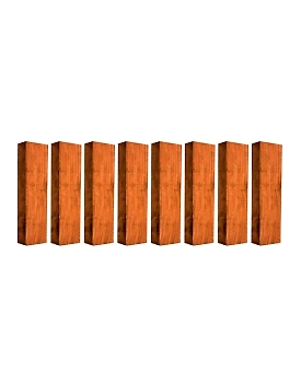 Vijaysar Organic Wood Blocks/ 100% natural-50pc