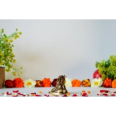 Brass Shiva/ Mahadev Statue
