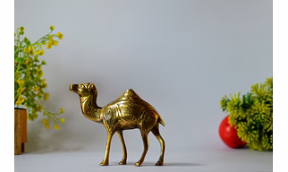Brass Standing Camel Staue