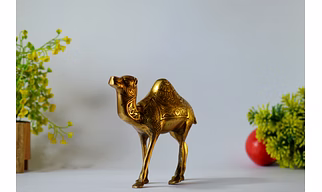 Brass Standing Camel Staue