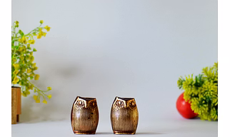 Brass Owl Decor with big eyes Showpiece