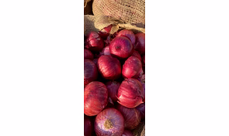 Onion