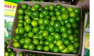 Lemon