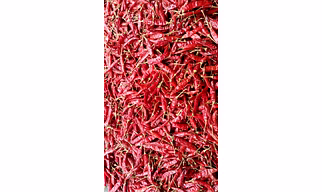 Dry Red Chilli