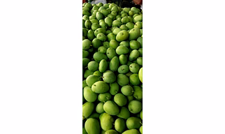 Mango