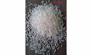 Rice