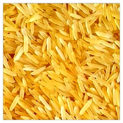 1121 golden sella