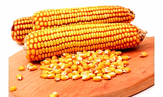 Maize and corn