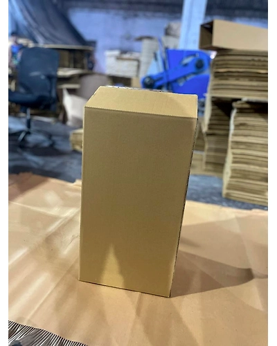 CORRUGATED BOXES (3PLY, 5PLY, 7PLY)-3