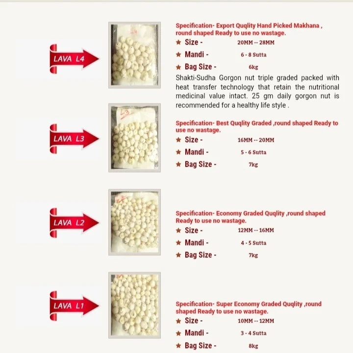 Fox Nuts/Puffed Lotus Seeds (Makhana)-4