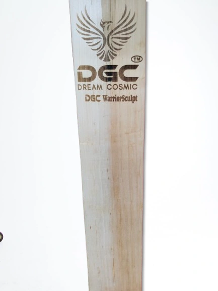 DGC English Willow Cricket Bats-12647901