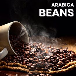 arabica beans