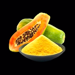 yanivinternational dehydrated papaya powder