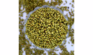 Coriander Seeds
