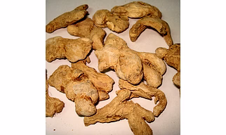 Ginger