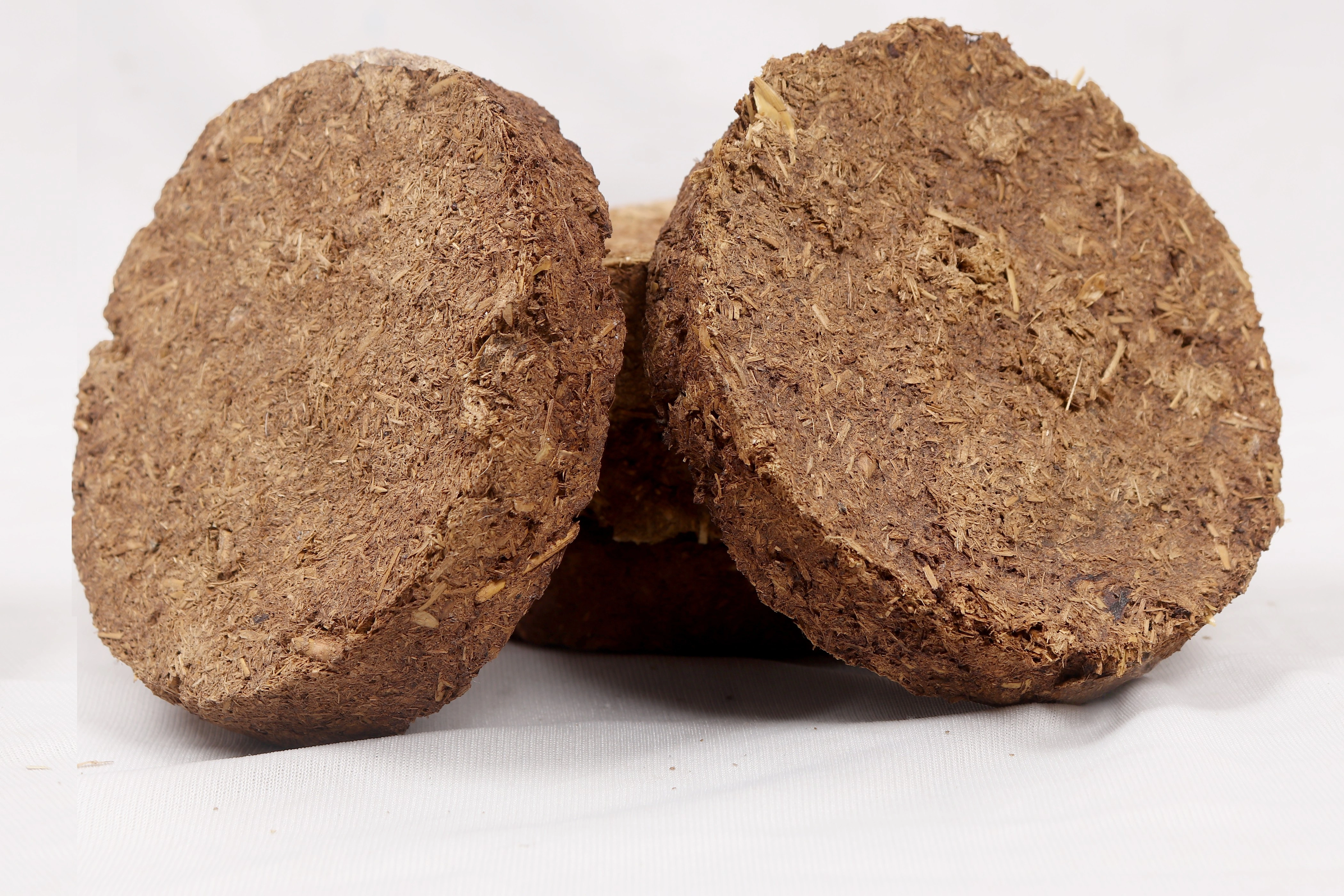 Pure Cow dung Cakes (6 Pieces)-1