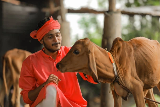 Pure Cow dung Cakes (6 Pieces)-3