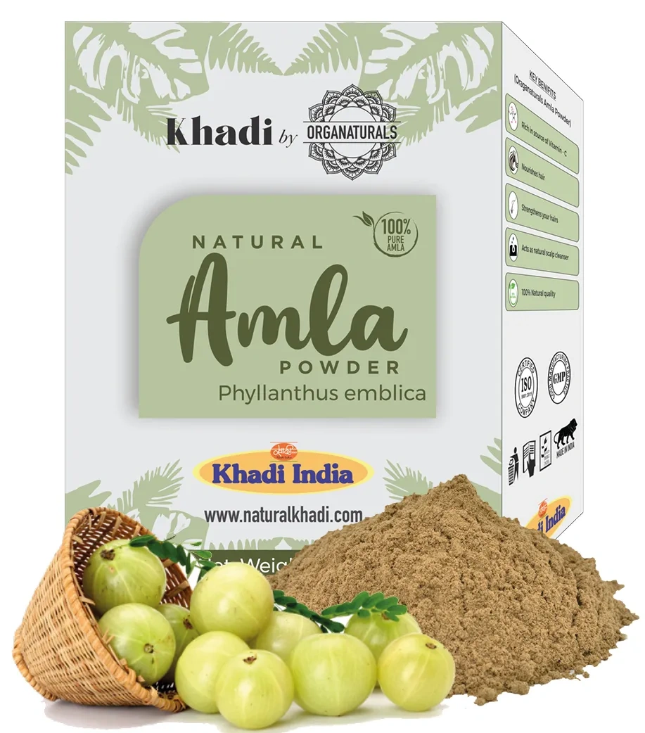 DKI Natural Amla Powder-12377232