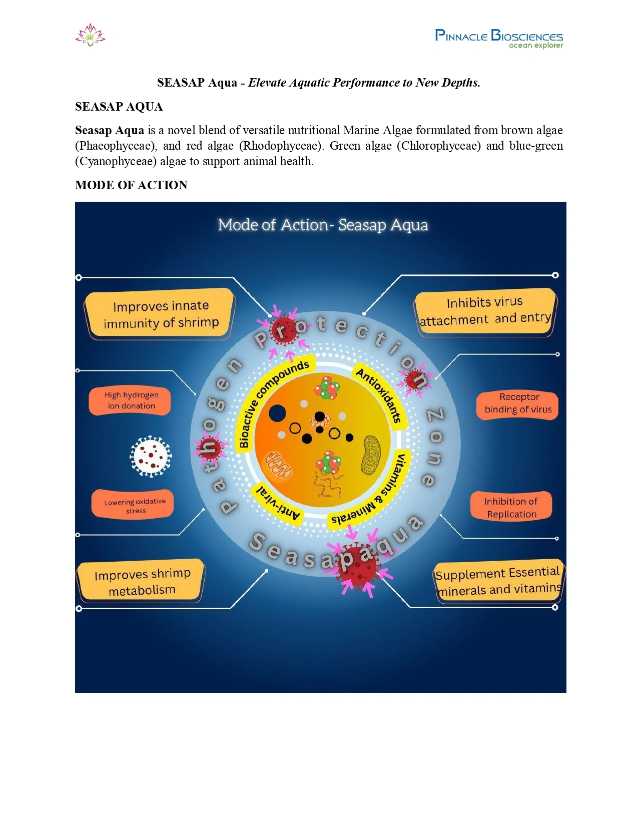 Seasap Aqua-1